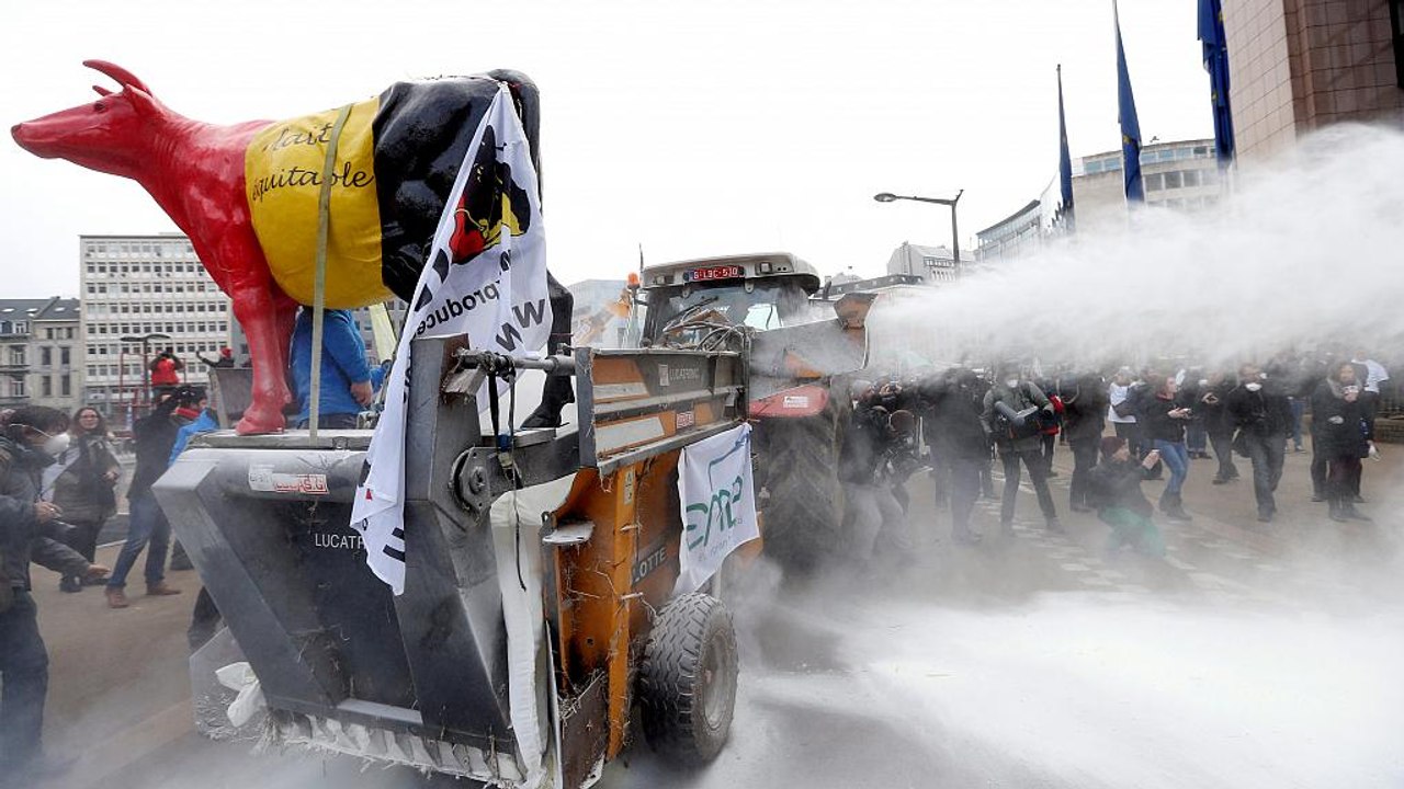 Trockenmilchprotest in brüssel