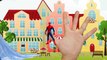 Finger Family # Spiderman Elsa Frozen Hulk and Joker # Finger Family Song Nursery Rhymes