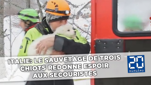 Avalanche en Italie: Le sauvetage de trois chiots redonne espoir aux secouristes