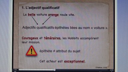 Le groupe nominal et ses expansions