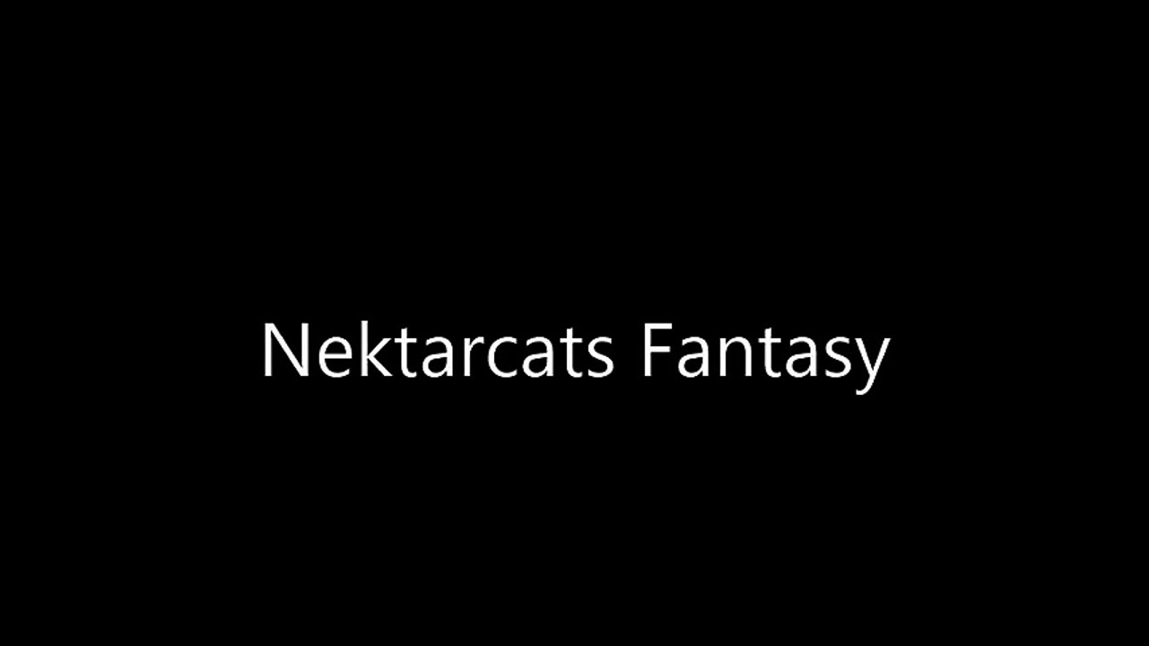 Fantasy Maine coon