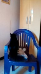 EU DEIXE ELE IR DENOVO ME DESCULPE