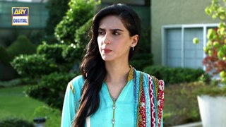 Watch Tum Milay Episode 23 - on Ary Digital in High Quality 19th December 2016