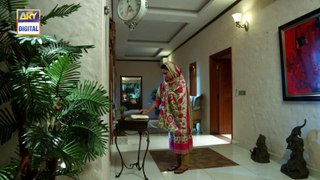 Watch Tum Milay Episode 25 - on Ary Digital in High Quality 2nd January 2017