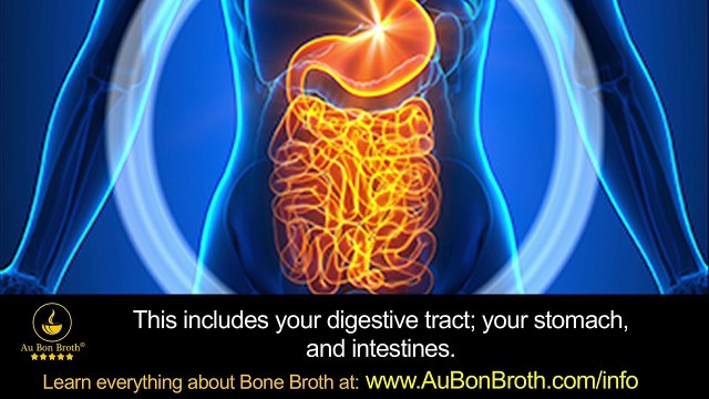 The Critical Importance of Bone Broth on a GAPS Diet - Healing the Gut, Essential Nutrients