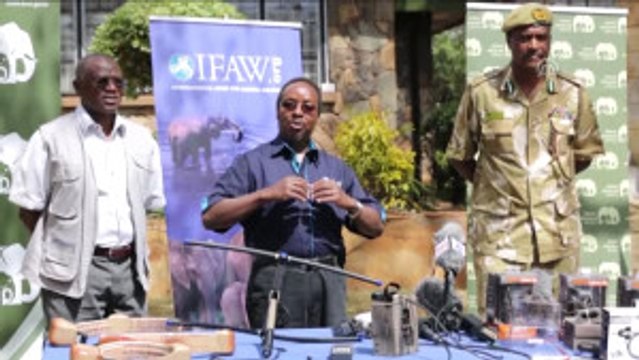 Kenya'da Vahşi Yaşam