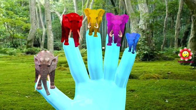Animals Colors Elephant Shark Finger Family Nursery Rhymes | Animals Cartoons Gorilla Finger Family