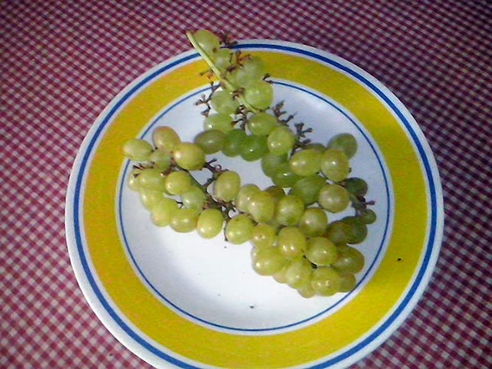 Comiendo Saludable.