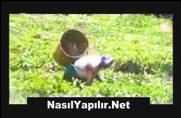 Poşet Çay Nasıl Yapılır? | Video Olay