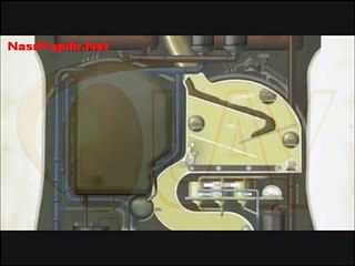 İnsan Vücudu Çalışma Şekli ! | Video Olay