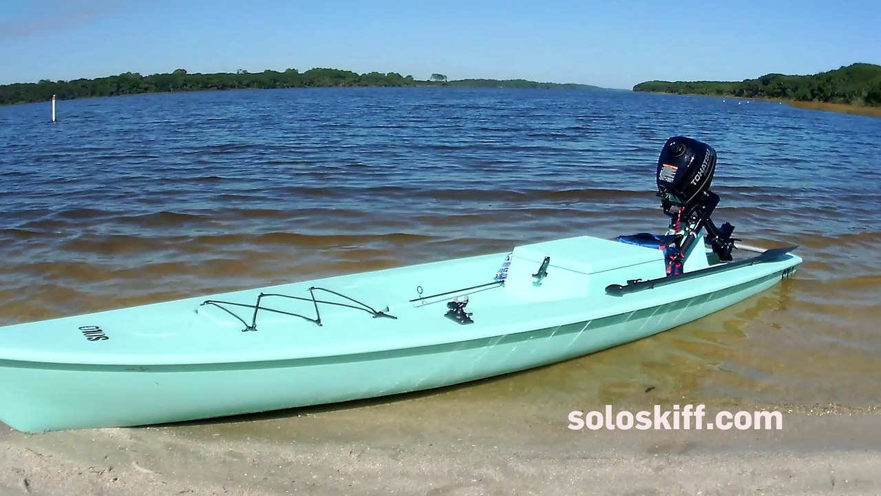 Gator Attacks a Skiff