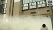 Farmers Sprayed Milk Powder on EU Building