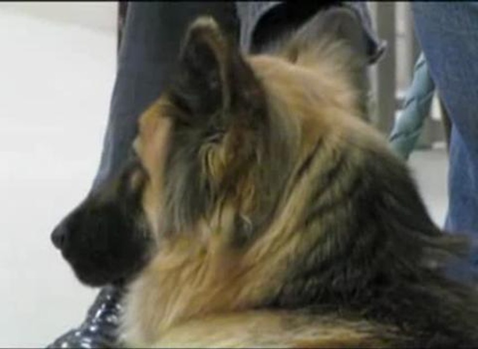 anna evans veterinaire aux frontieres du reel