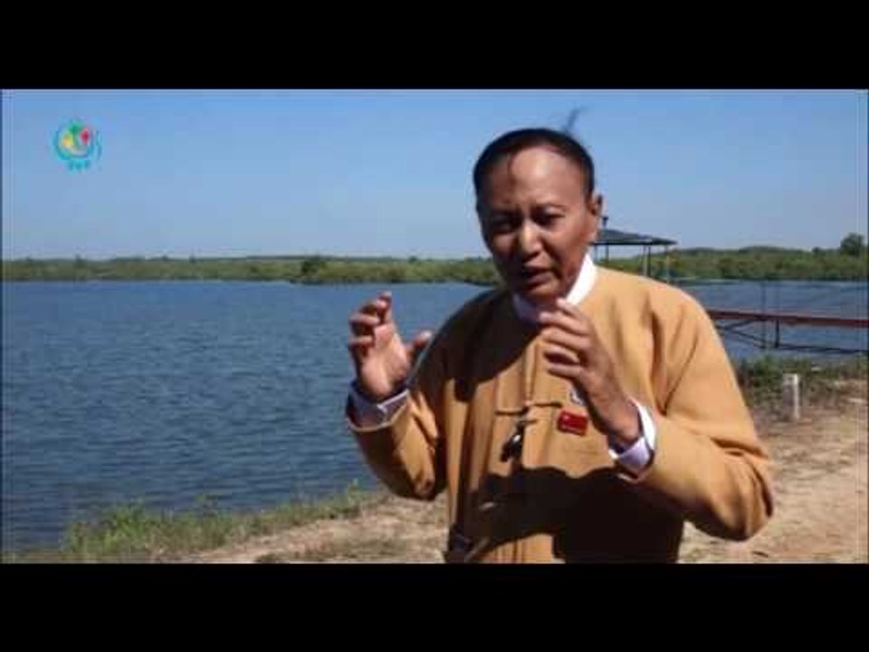 DVB - သစ္ေတာဧရိယာေျမ ျပန္လည္ရရွိေရး ျပည္သူ႔လႊတ္ေတာ္မွာ တင္ျပေတာင္းဆိုမည္