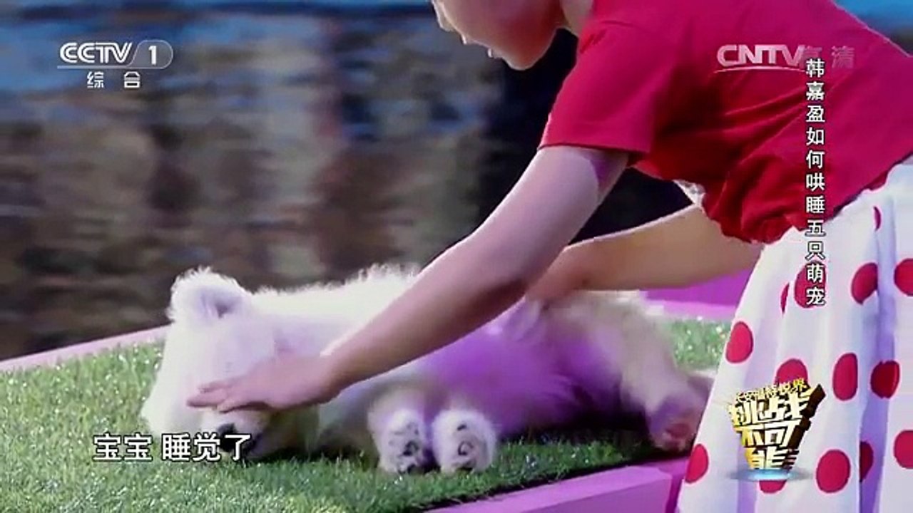 Treinadora Mirim JAPONESA