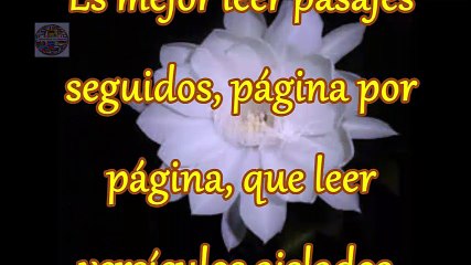 Promesas de Dios Para hoy,10 Enero,2017.