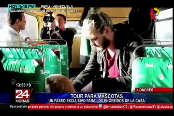 Londres: crean tour por lugares turísticos para canes