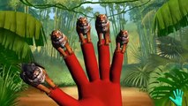 Tiger Animals Cartoons Finger Family Collection | 3D Tiger Animated Finger Family Rhymes Children