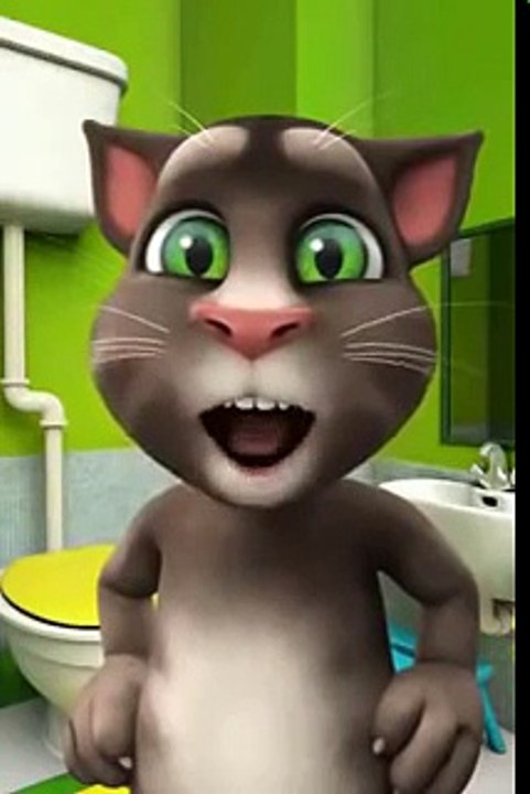 Gatinho fofo