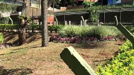 Parque Zoologico Municipal de Bauru 04-2016