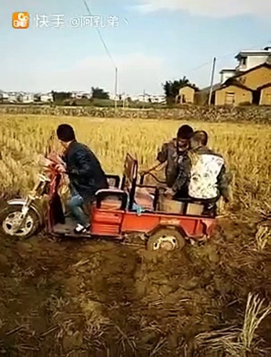 Chineses Idiotas