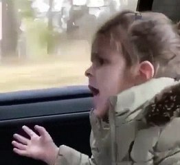 Kjo vogëlushe mahnit Majkun duke kënduar këngën e tij Fund