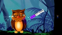 Learning Colors Injection Owl | Colors for Children Kids to Learn | Learning Video for Kids,Toddlers