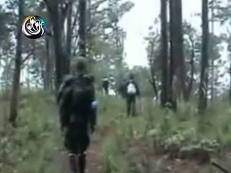 DVB - 18.03.2011 - Documentary