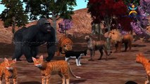 3D Dinosaur Finger Family Lion Tiger Animals Cartoons Finger Family Rhymes Collection