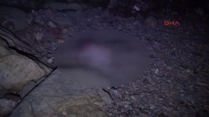 Nişanlı Çift, 100 Metreden Düşerek Feci Şekilde Can Verdi