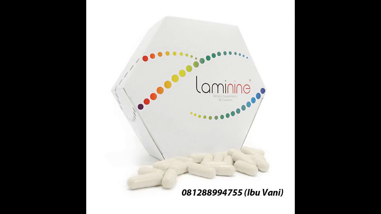 0812-8899-4755 (Ibu Stefani) Agen Laminine Balikpapan, Agen Laminine Bandung, Agen Laminine