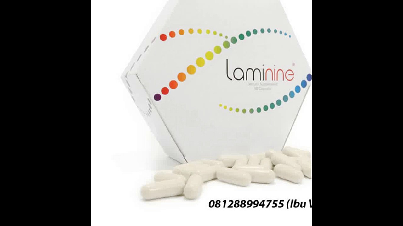 0812-8899-4755 (Ibu Stefani) Agen Laminine, Agen Laminine Bandung, Agen Laminine Balikpapan