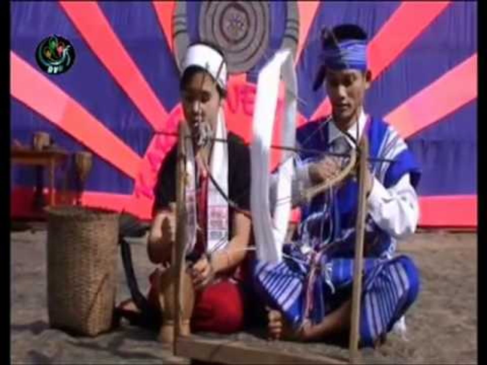 DVB - 28.12.2010 - Documentary