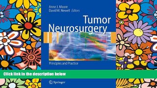 Audiobook  Tumor Neurosurgery: Principles and Practice (Springer Specialist Surgery Series)  Pre