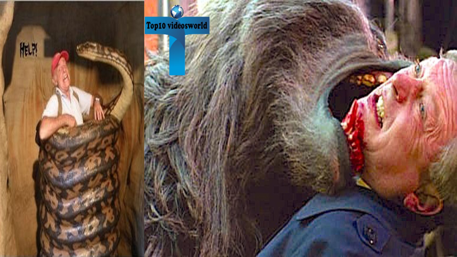 ⁣10 Pets Who Killed Their Owners - Top 10 Deadly Attacks From Exotic Pet Animals