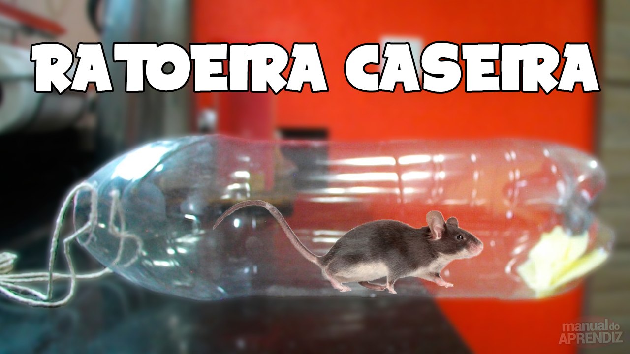 Como fazer uma Ratoeira simples (Armadilha para ratos)