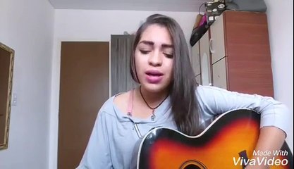 Os paralamas do sucesso - meu erro (Amanda Clécia)