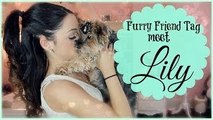 Furry Friend Tag: Meet Lily !