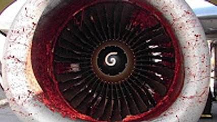 BIRDS VS AIRCRAFT VIDEO COLLECTION  | CRASH PART 2