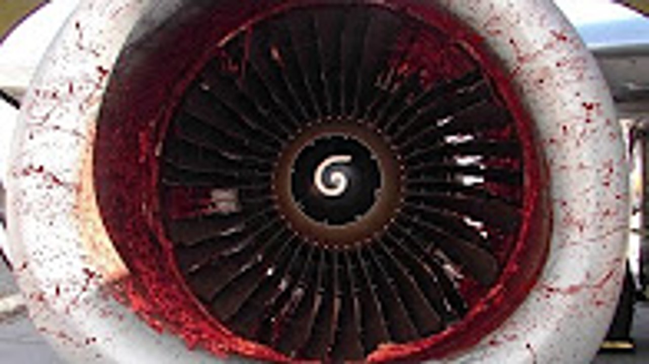 BIRDS VS AIRCRAFT VIDEO COLLECTION  | CRASH PART 2