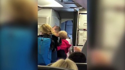 American Airlines employee allegedly hits woman with stroller, confronts angry passenger