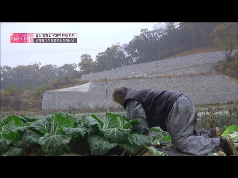 네발로 기어서 농사짓는 엄마... [엄마의 봄날] 68회 20161218