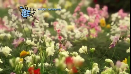 Hallmark Movies Remember Sunday   Hallmark romantic comedy release movies 2017 part 1/2