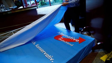 "Альтернатива для Німеччини" обрала лідерів партійного списку