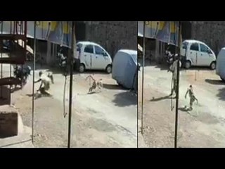 Hit and Run video goes viral on whatsapp, watch video