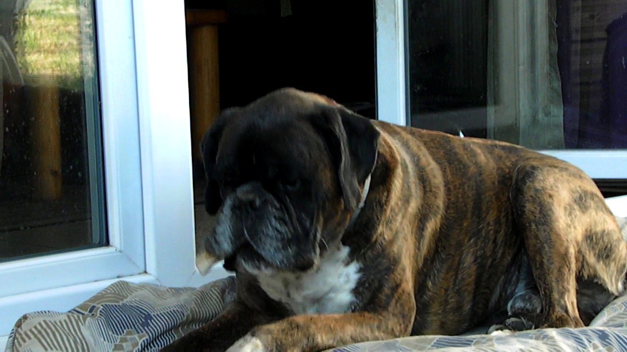 Elliot et son vieux  nonoss..2980 (6)