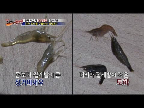 억대 매출, 진짜 토하를 구별하는 방법은? [뉴 코리아 헌터] 28회 20161212
