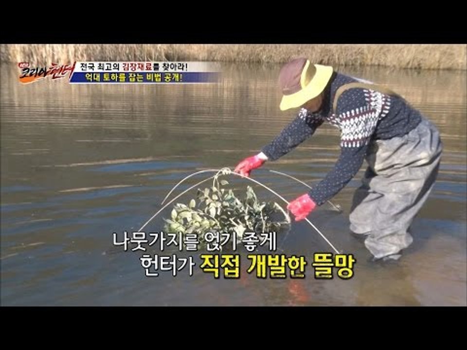 새우를 나뭇가지로 잡는 이유는? [뉴 코리아 헌터] 28회 20161212