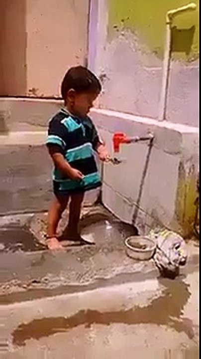 koch bache pedaishi drame baaz hote hain