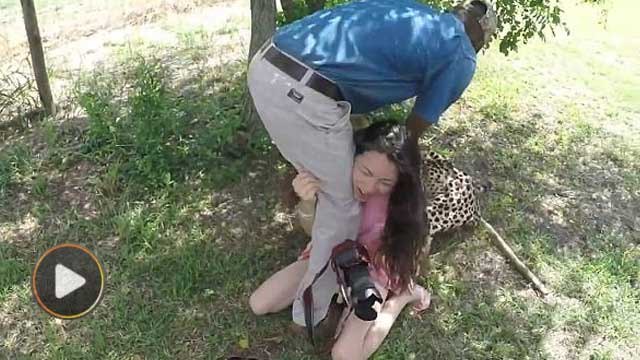 Cheetah mauls terrified Chinese tourist in South Africa